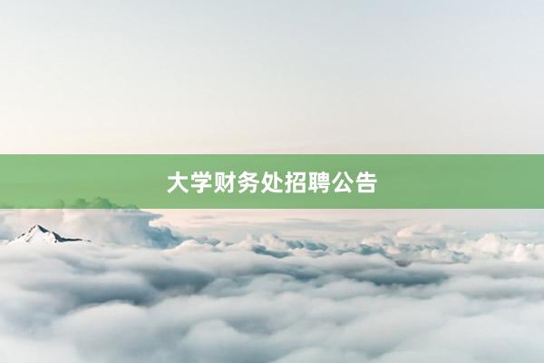 大学财务处招聘公告
